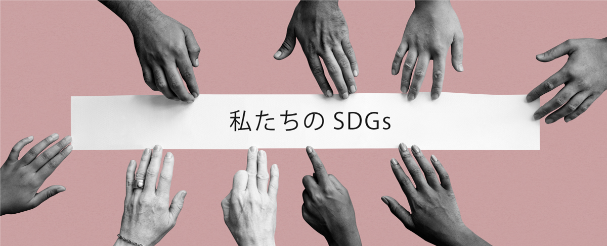 sdgsheader-1